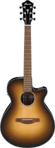 Ibanez AEG50-DHH Elektro-Akustikgitarre