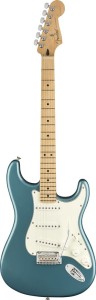 Fender Player Stratocaster MN TPL