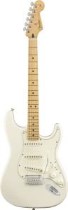 Fender Player Stratocaster MN PWT