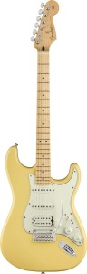 Fender Player Stratocaster HSS MN BCR