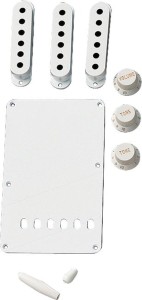 Fender 0991362000 Accessory Kit Strat White