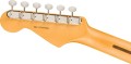 Fender Am Pro Classic Strat RW FBLK 6.jpg