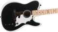 Fender J White Acous Tele AWTBT 4.jpg