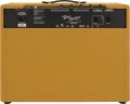 Fender FR 12 Tweed 2.jpg