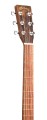 Martin-GPC-X2E-Ziricote-Sap-Zir-HPL 3.jpg