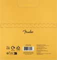 Fender 70CL 2.jpg