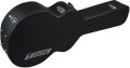 Gretsch G2420T case 1.jpg