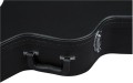 Gretsch G2420T case 4.jpg