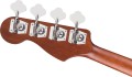 Fender Ca Dlx Kingman Bass Blk 5.jpg