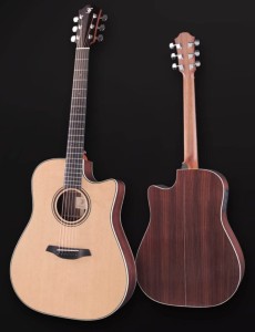 Furch Green Dc-SM SPA Elektro-Akustikgitarre