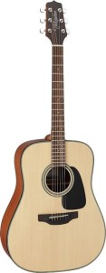 Takamine GD10-NS Western-Akustikgitarre